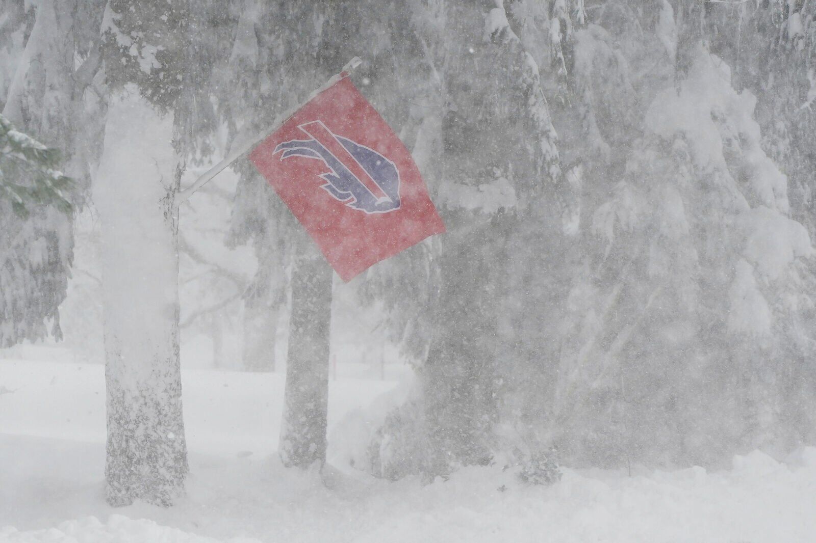 Bills weather